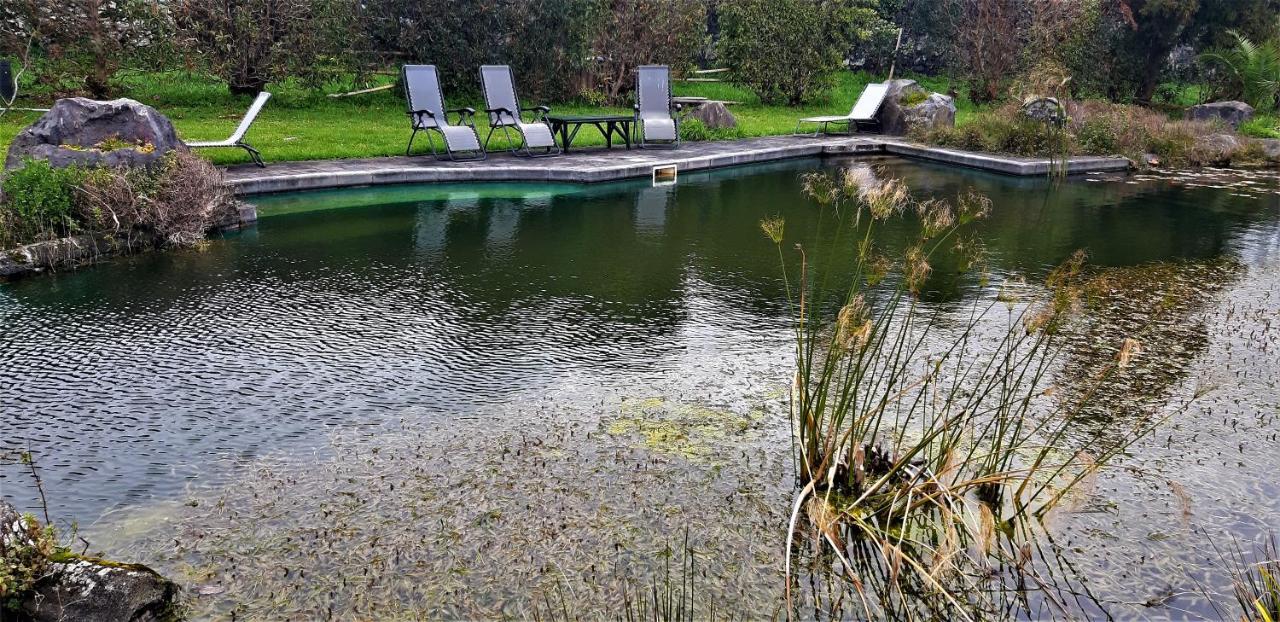 Quinta Do Bom Despacho Ponta Delgada  Bagian luar foto