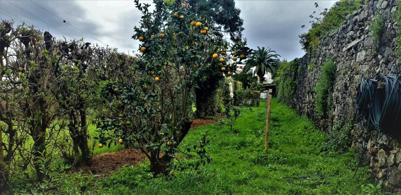 Quinta Do Bom Despacho Ponta Delgada  Bagian luar foto